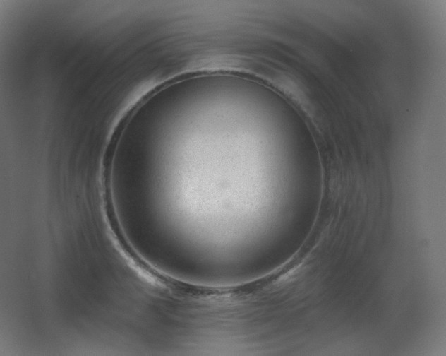 X0000068280990200604211106