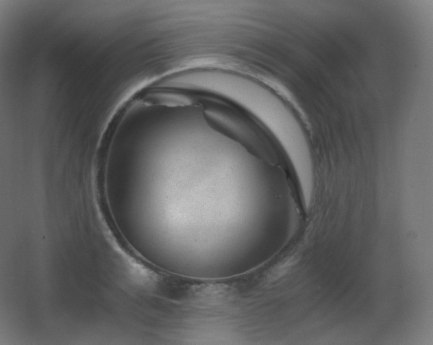 X0000068280991200604211106