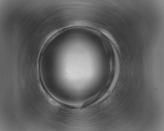 X0000068280996200604211106
