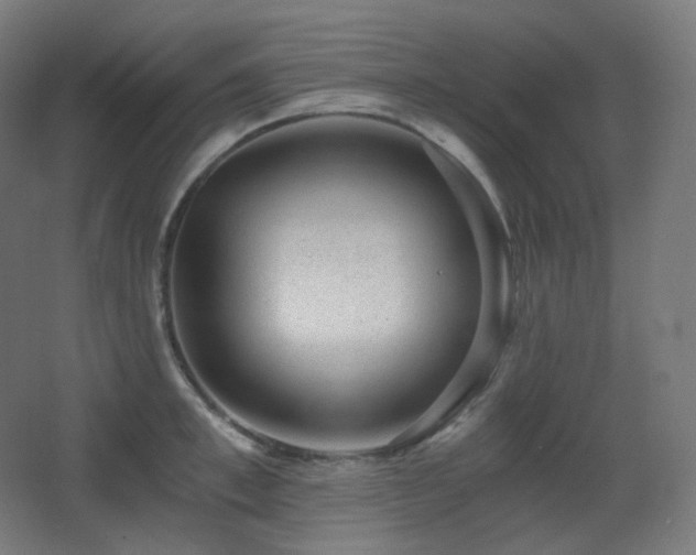 X0000068280997200604211106