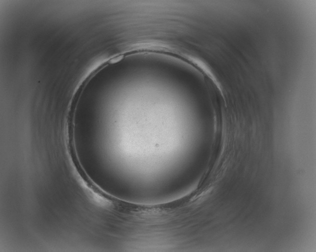 X0000068280999200604211106