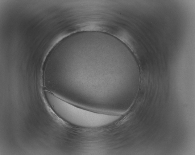 X0000068281000200604211106