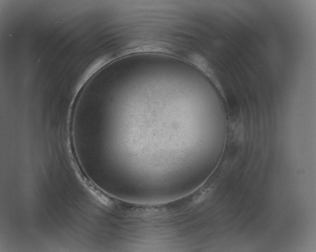 X0000068281002200604211106