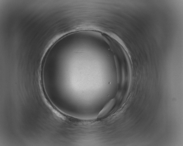 X0000068281005200604211106