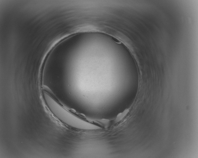 X0000068281008200604211106