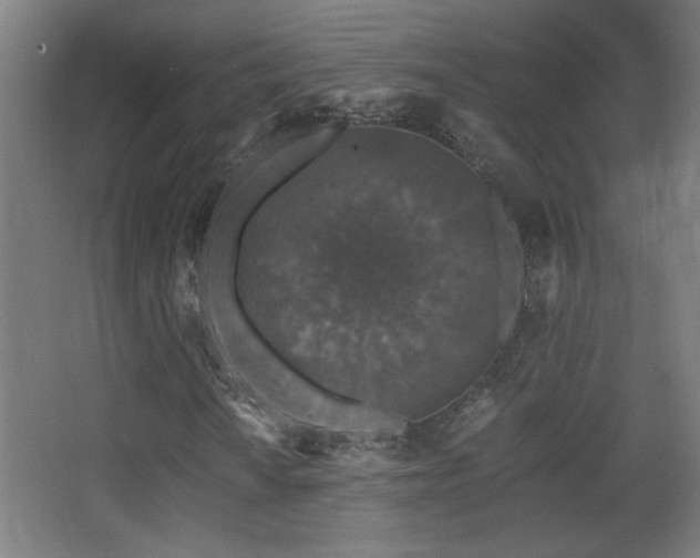 X0000068281010200604211105