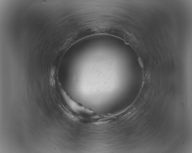 X0000068281012200604211105