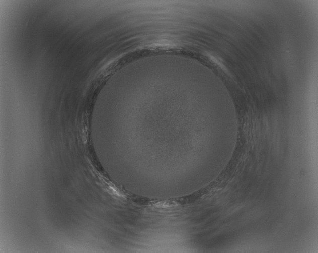 X0000068281015200604211105