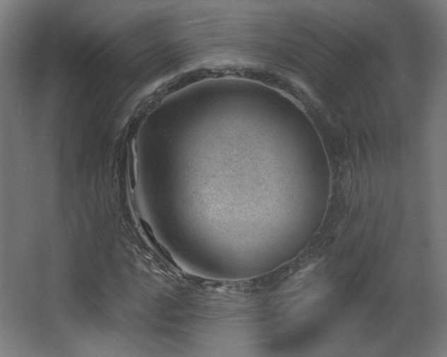 X0000068281016200604211105