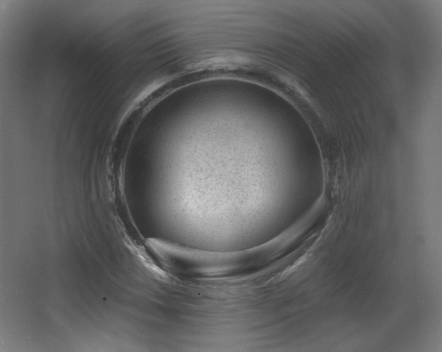 X0000068281018200604211105