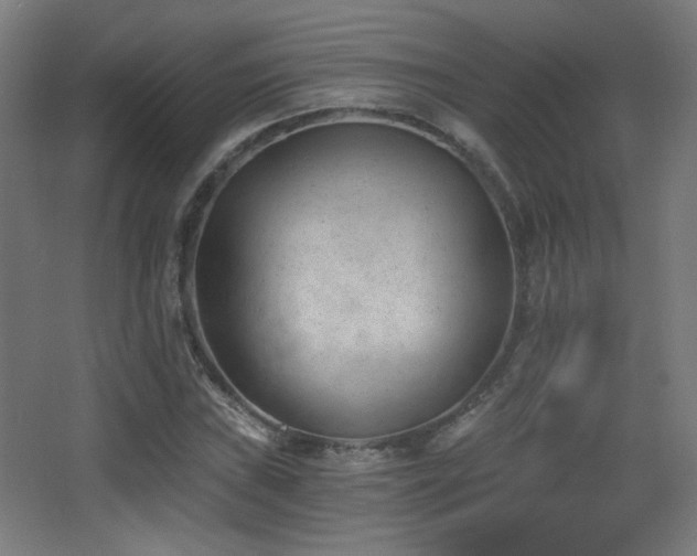 X0000068281019200604211105