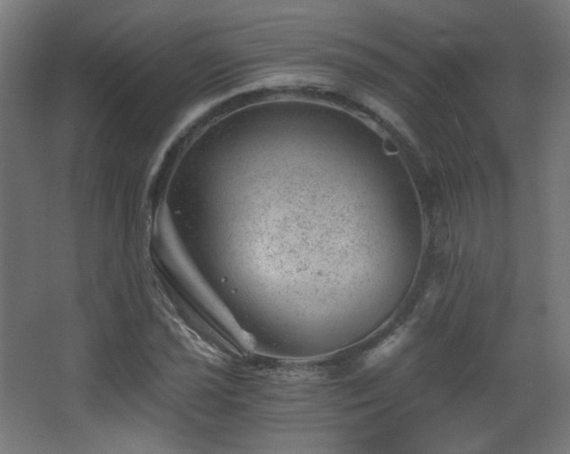 X0000068281021200604211105
