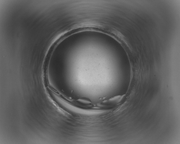 X0000068281024200604211105