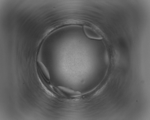 X0000068281033200604211106