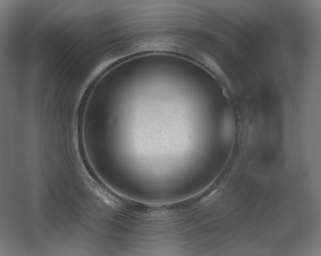 X0000068281035200604211106