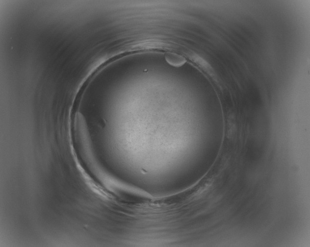 X0000068281039200604211106