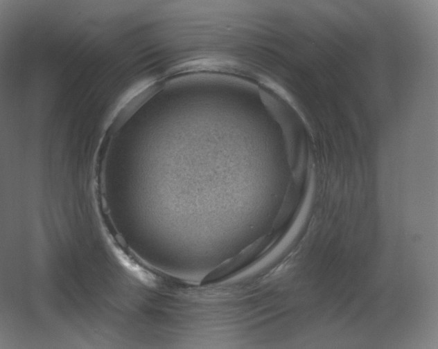 X0000068281042200604211106
