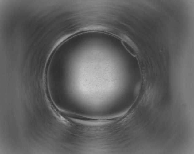 X0000068281044200604211106