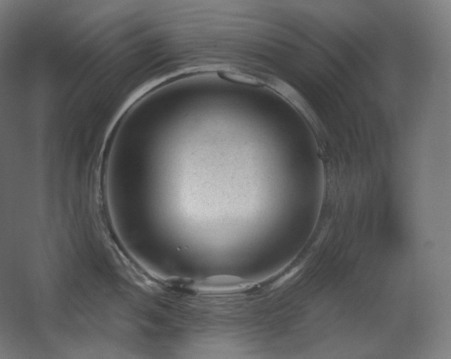 X0000068281052200604211106