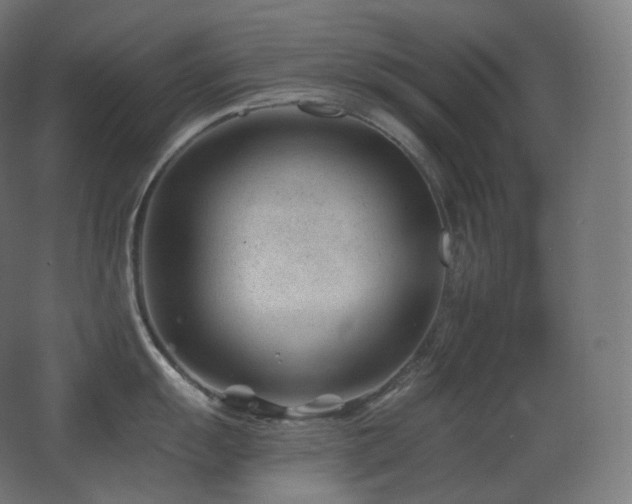 X0000068281055200604211106