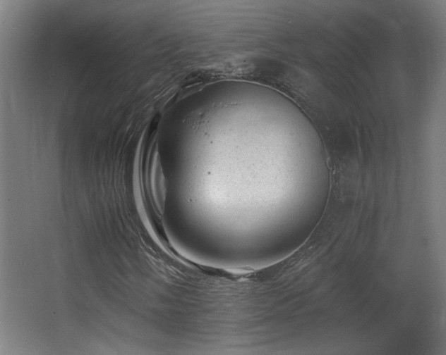 X0000068281058200604211105