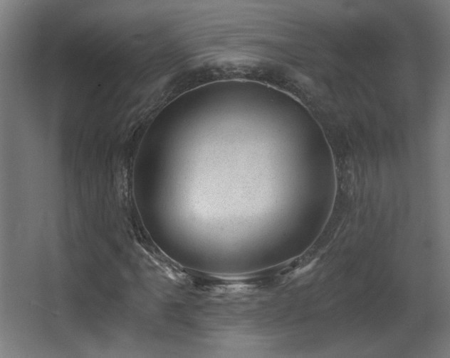 X0000068281061200604211105