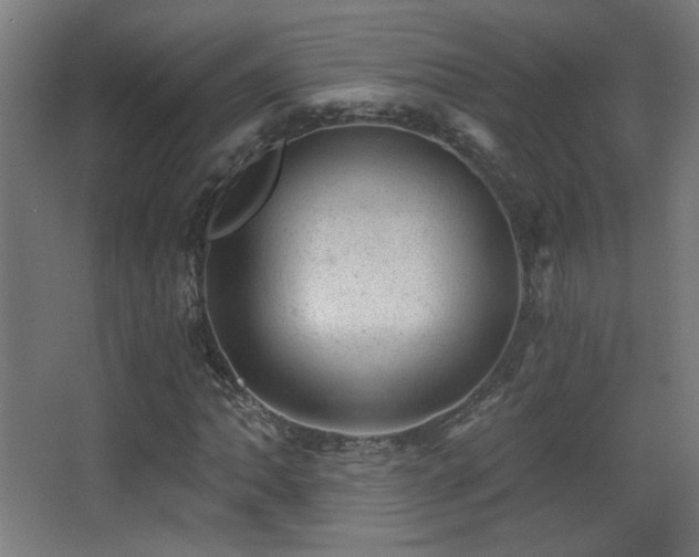 X0000068281062200604211105