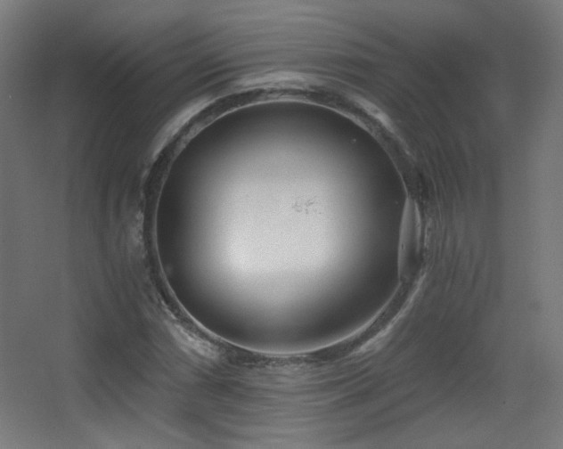 X0000068281066200604211105