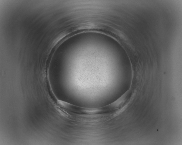 X0000068281073200604211105