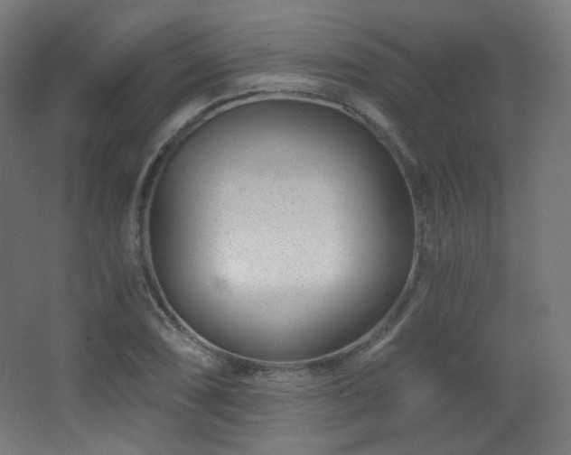 X0000068281074200604211105