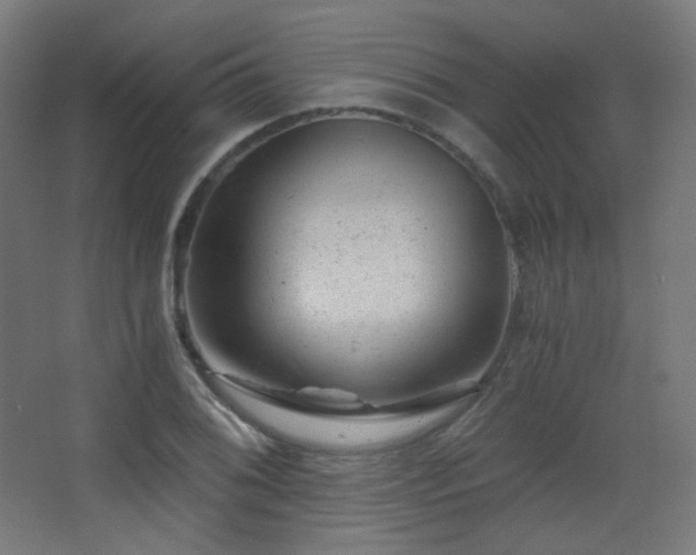 X0000068281076200604211105