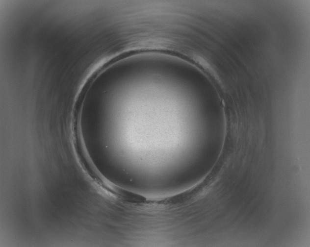 X0000068281085200604211105