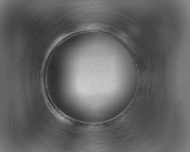 X0000068281086200604211105