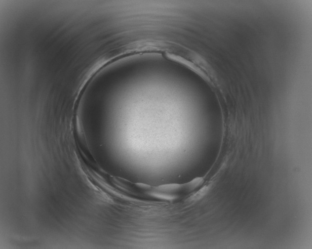 X0000068281089200604211105