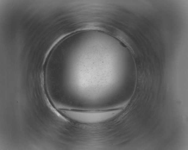 X0000068281092200604211105