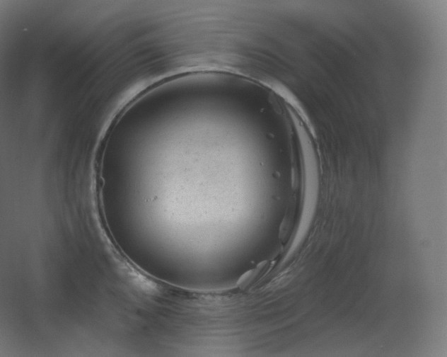 X0000068281096200604211104