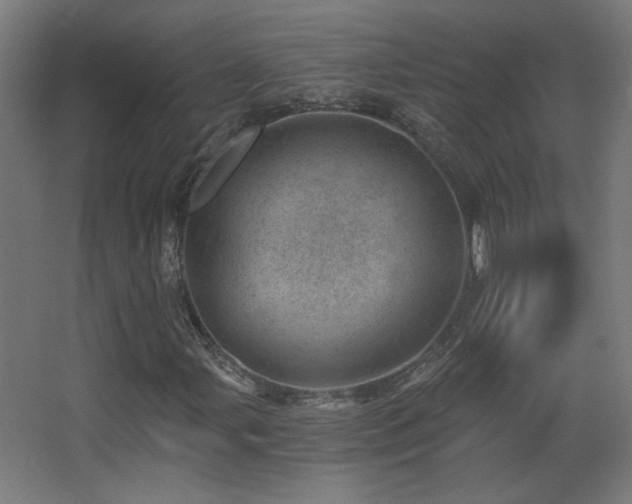X0000068281107200604211104