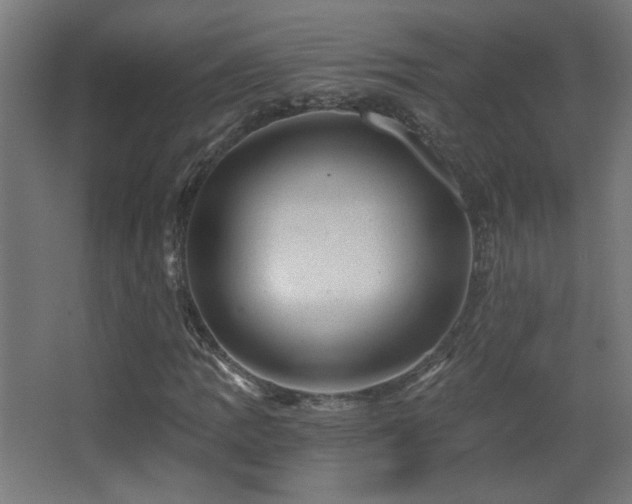 X0000068281109200604211104