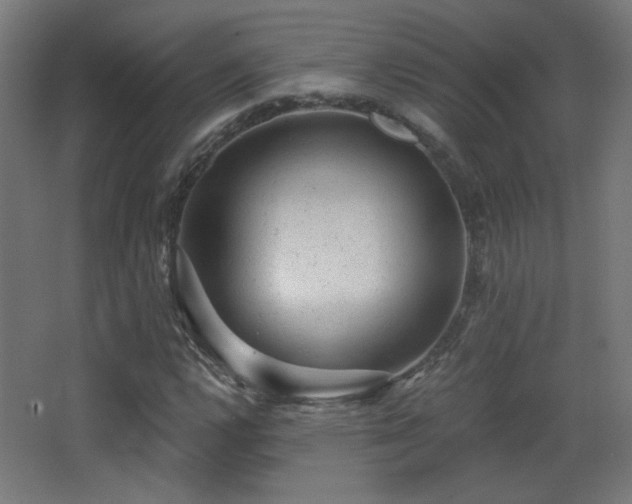 X0000068281112200604211104