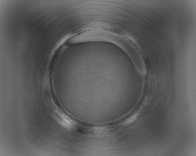 X0000068281114200604211104