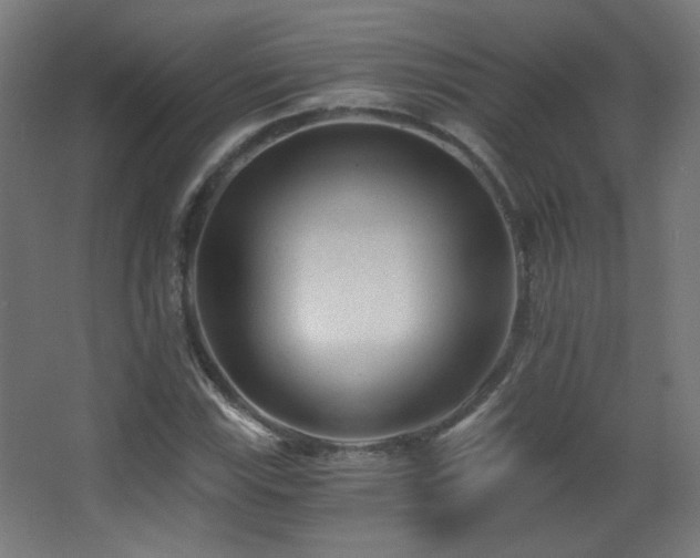 X0000068281115200604211104