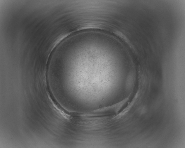 X0000068281121200604211104