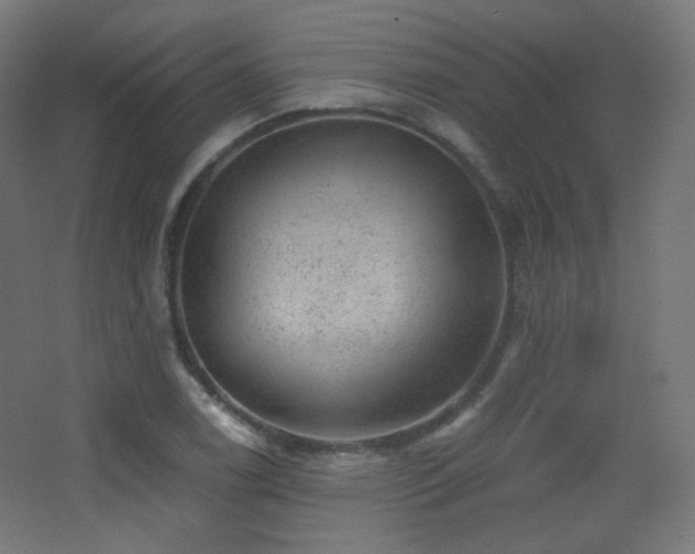 X0000068281122200604211104