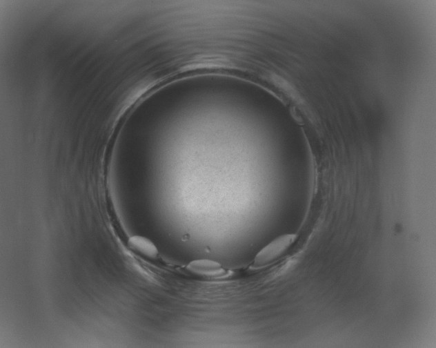 X0000068281129200604211104