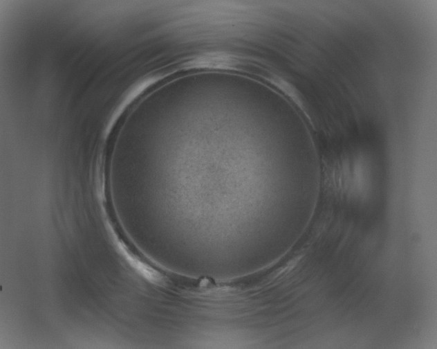 X0000068281131200604211104