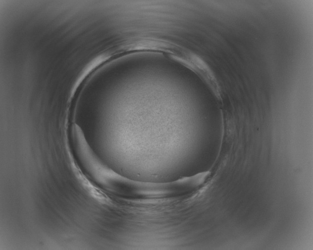 X0000068281138200604211104