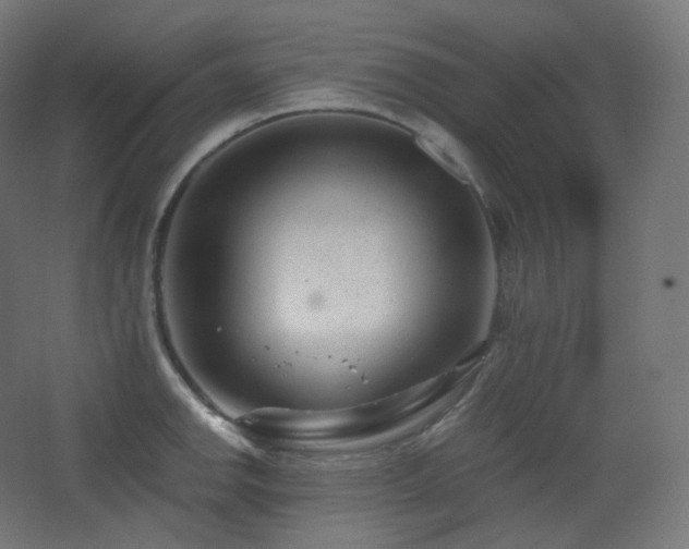 X0000068281142200604211104