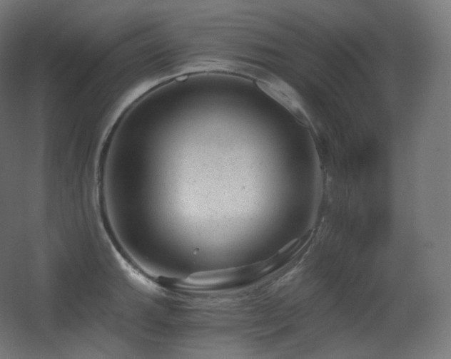 X0000068281143200604211104