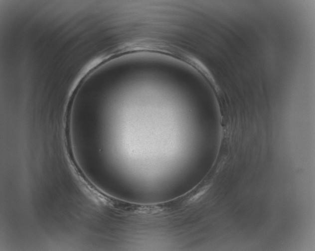 X0000068281146200604211104