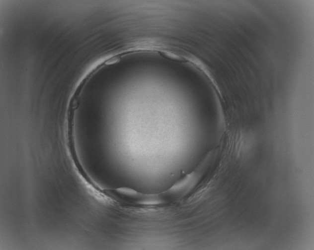 X0000068281147200604211104